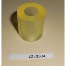 LGI-2004